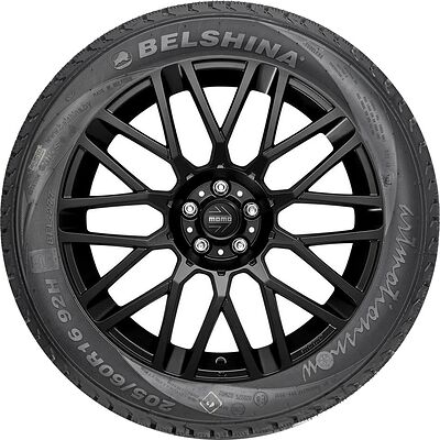 Белшина Artmotion Snow (Бел-317) 205/55 R16 91T