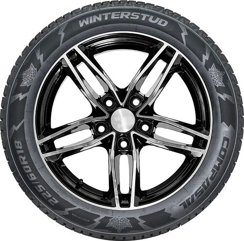 Compasal Winter Stud