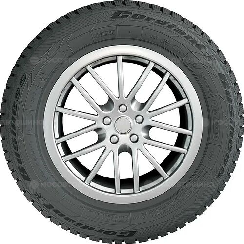 Cordiant Business CW2