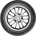Cordiant Gravity 215/60 R16 99H 