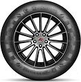 Doublestar DS01 265/60 R18 110H 