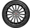 Doublestar DSU02 255/40 R19 100Y XL