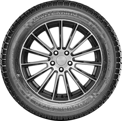 Doublestar DW05 235/55 R18 100T 
