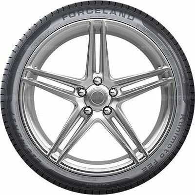 ForceLand Vitality F22 175/65 R14 82H