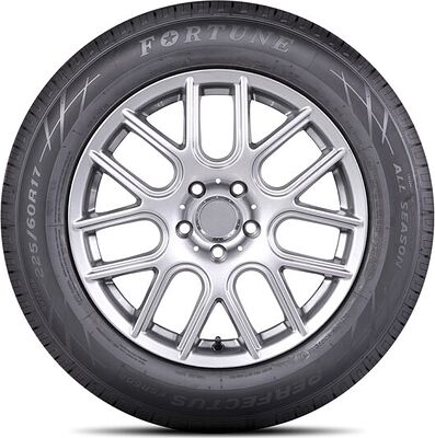 Fortune FSR-602 205/65 R15 99H XL
