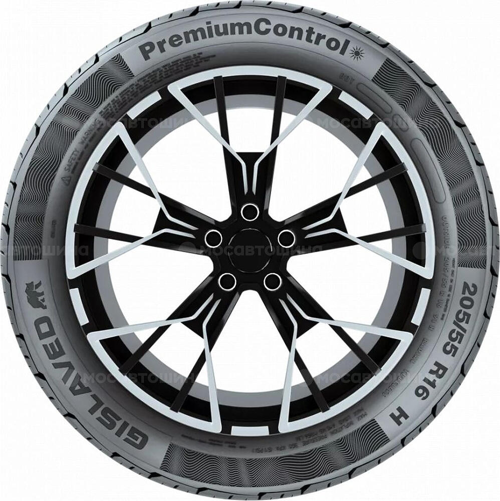 侧视图 Gislaved Premiumcontrol 205/55 R16 91H 