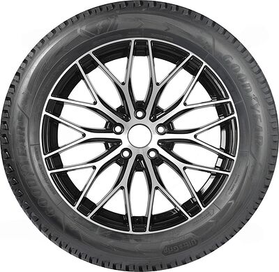 Goodyear Ultragrip Arctic 2 SUV 255/45 R20 105T