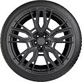 Gripmax SureGrip Pro Winter 225/50 R19 100V XL