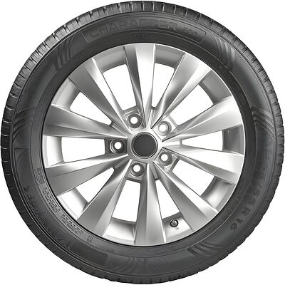 Ikon Character Eco 195/65 R15 91H