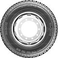 Lassa LC/T Lassa LC/T