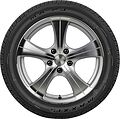 Maxxis MA-P3