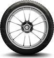 Michelin Pilot Alpin PA4 265/45 R19 105V XL