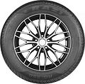 Razi RG550 185/65 R15 88H 