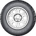 Rydanz Raptor R19