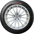 Rydanz Revimax R33 Rydanz Revimax R33