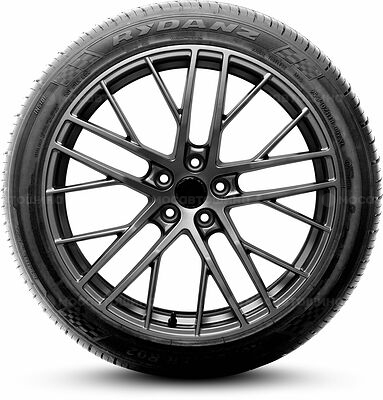 Rydanz Roadster R02 255/35 ZR19 96W RF