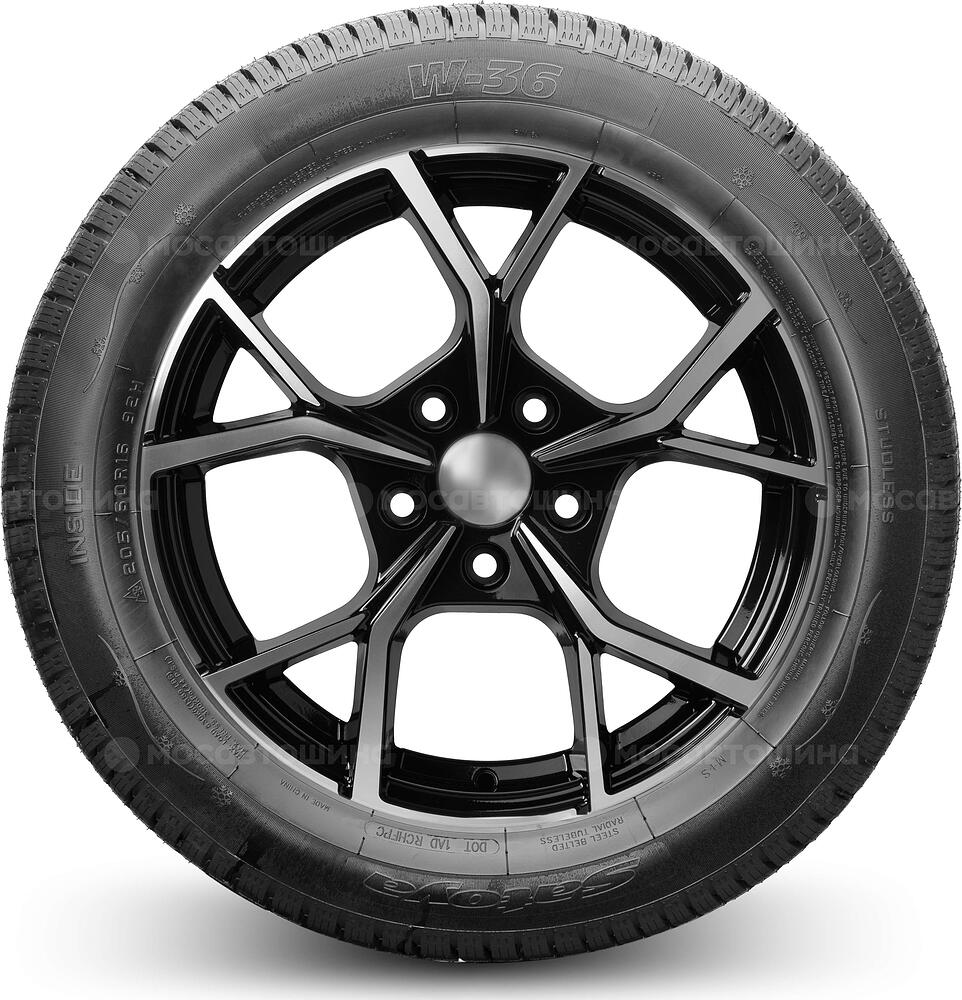 侧视图 Satoya W-36 205/55 R16 91H