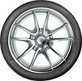 Taurus Ultra High Performance 205/55 R17 95W 