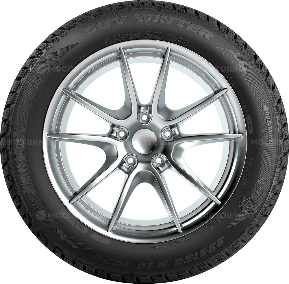 侧视图 Taurus Winter 225/55 R17 101V XL