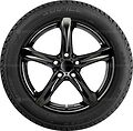 Tigar SUV Ice 195/65 R15 95T 