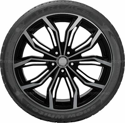 Tri-Ace Snow White II 285/45 R21 109H