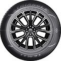 Triangle TE301 225/65 R17 102H 