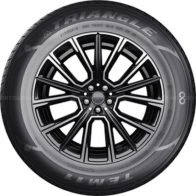 Triangle TE301 225/65 R17 102H 