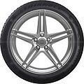 Triangle TW401 WinterX 225/55 R17 101V XL