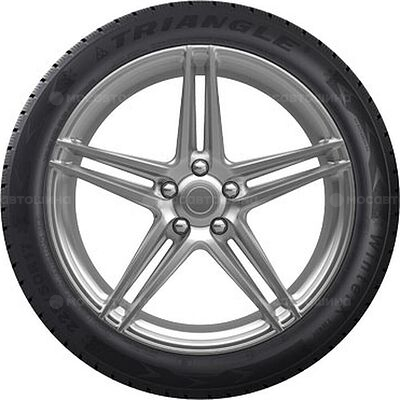 Triangle TW401 WinterX 225/55 R17 101V XL