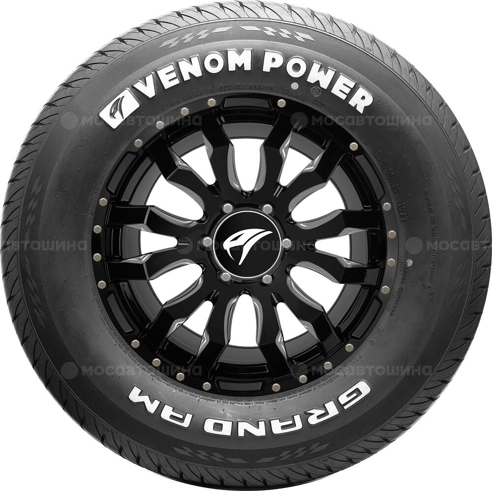 侧视图 Venom Power Grand AM 175/80 R13 86S