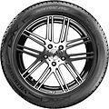 Vredestein Wintrac Pro