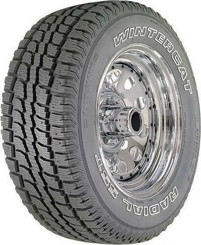 Dean Wintercat Radial SST