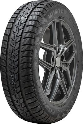 Formula Winter 215/55 R16 93H 