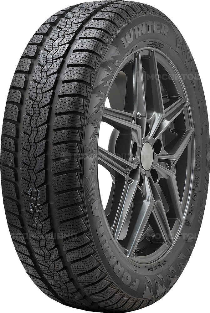 Formula Winter 195/65 R15 91T