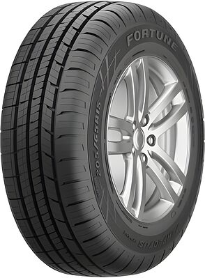 Fortune FSR-602 205/65 R15 99H XL