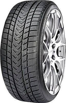 Gripmax Status Pro Winter 205/55 R17 95V