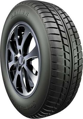 Petlas Snow Master W601 165/70 R14 85R 