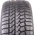 Goodride ZuperSnow Z-507 205/55 R16 91V 