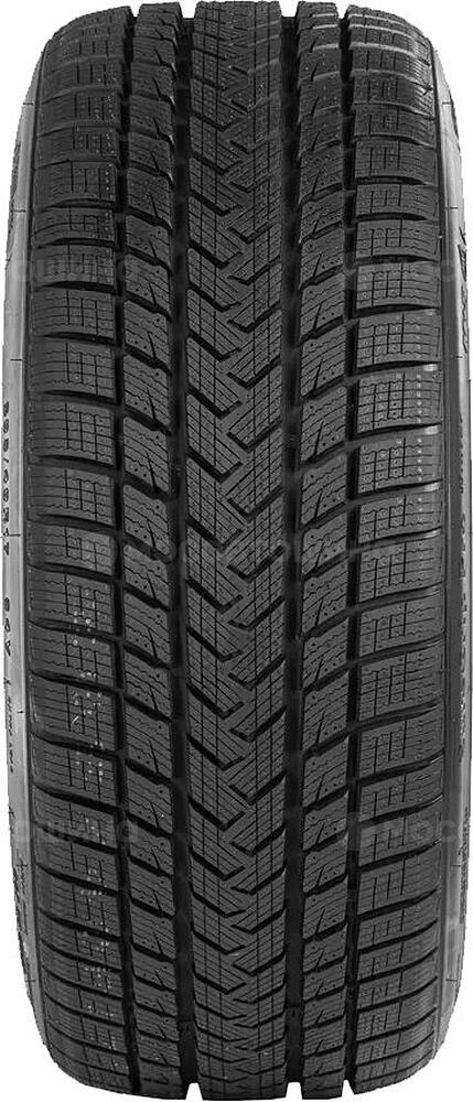 轮胎花纹 Gripmax SureGrip Pro Winter 255/30 R20 92V