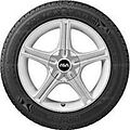 Hankook W300A Icebear Hankook W300A Icebear