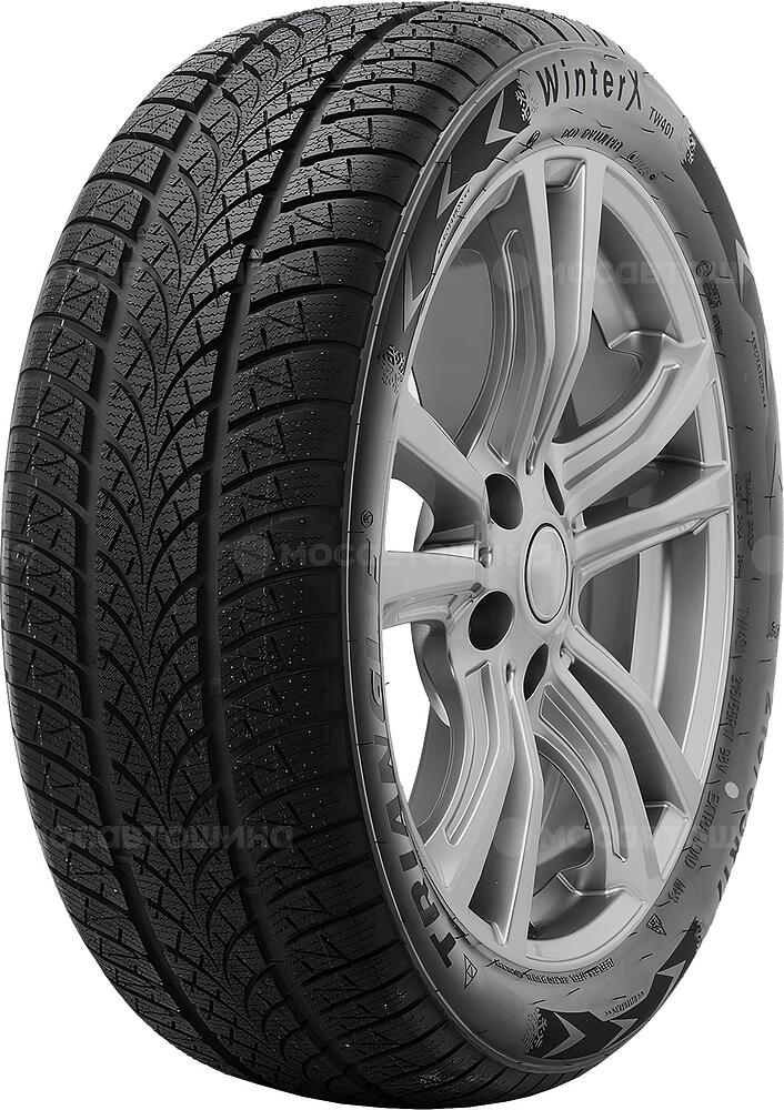 Triangle TW401 WinterX 195/55 R20 95H