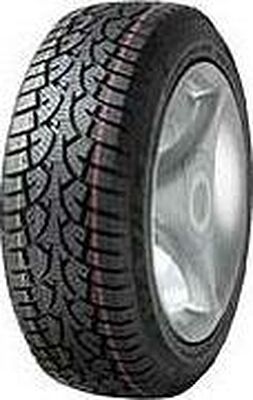 Wanli Snowgrip 225/65 R16C 112/110R