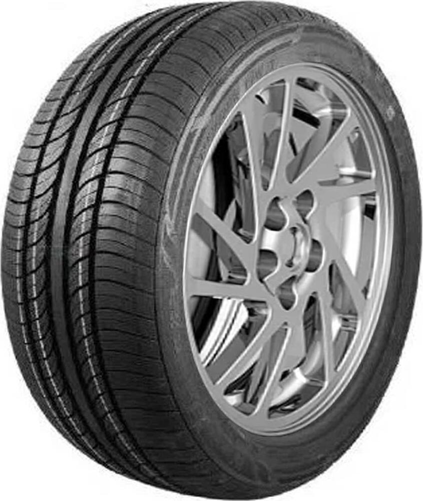 Warrior R35 255/35 R19 96Y