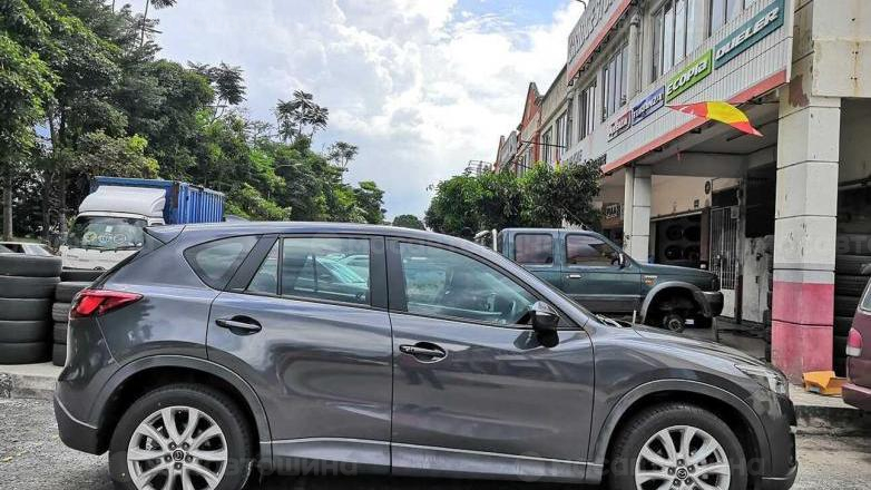 Автомобильные шины Rydanz Raleigh R06 на автомобиле   [2460]
