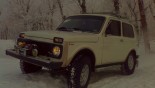 轮毂   在汽车上 VAZ 2121