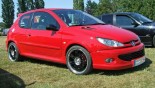 轮毂 Momo Corse 在汽车上 Peugeot 206