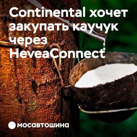 Continental 计划通过 HeveaConnect 采购天然橡胶
