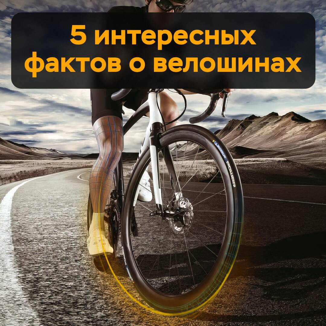 5個關於自行車輪胎的趣事