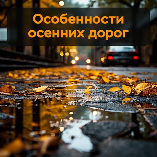 秋季道路的特点