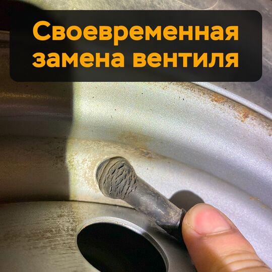 及時更換輪胎內的氣門芯